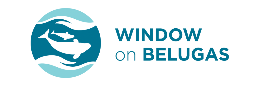 logo de Fenêtre sur les Bélugas